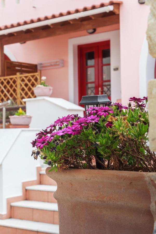 Chalki Apartments - Naxos Khalkíon Zewnętrze zdjęcie